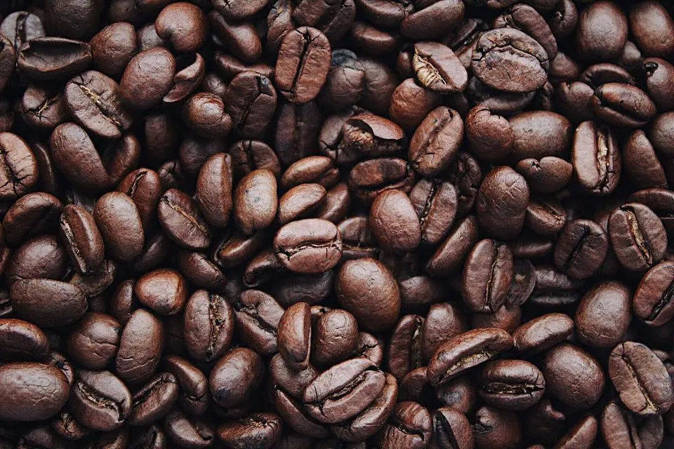 8 Best Coffee Beans for Cold Brew - Your Complete Guide