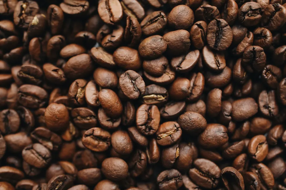 8 Best Coffee Beans for Cold Brew - Your Complete Guide