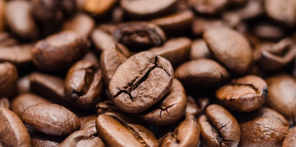 Espresso vs Coffee Beans - Differences & How to Choose