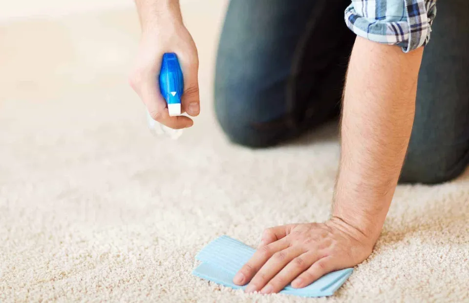 How To Get Hair Dye Out Of Carpet With 4 Effective Methods - Unhappy  Hipsters
