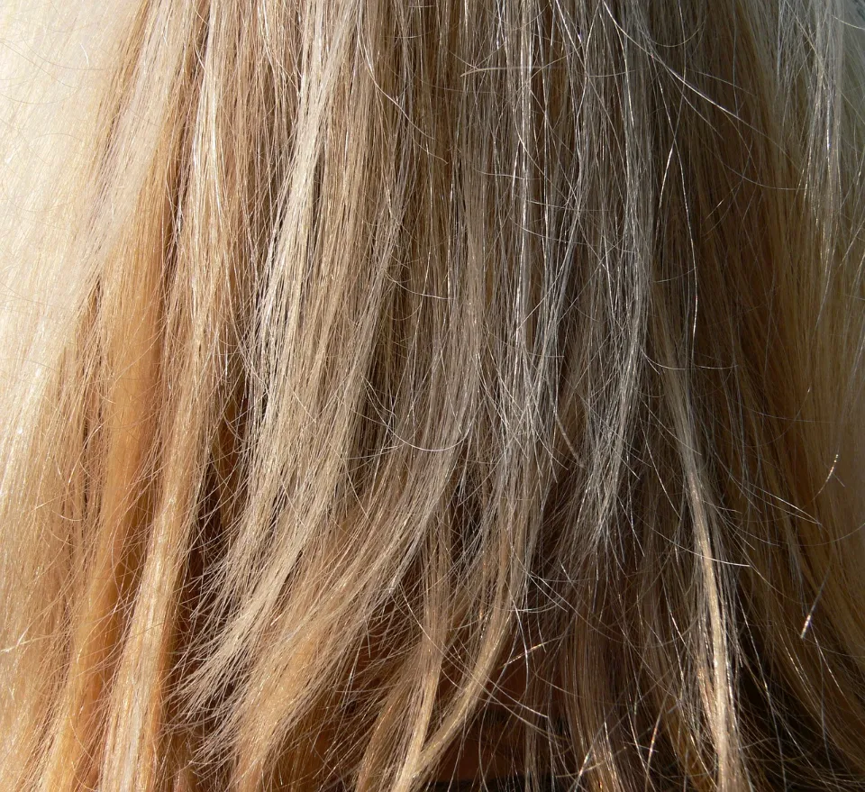 Should You Cut or Color Your Hair First - What's the Difference