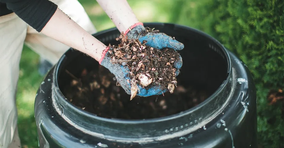 Can You Compost Hair - What You Should Know