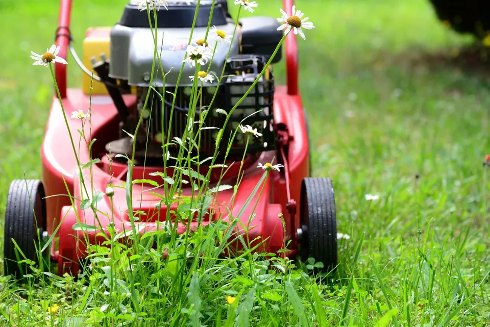 Electric vs. Gas Lawn Mowers - Which One Should I Choose