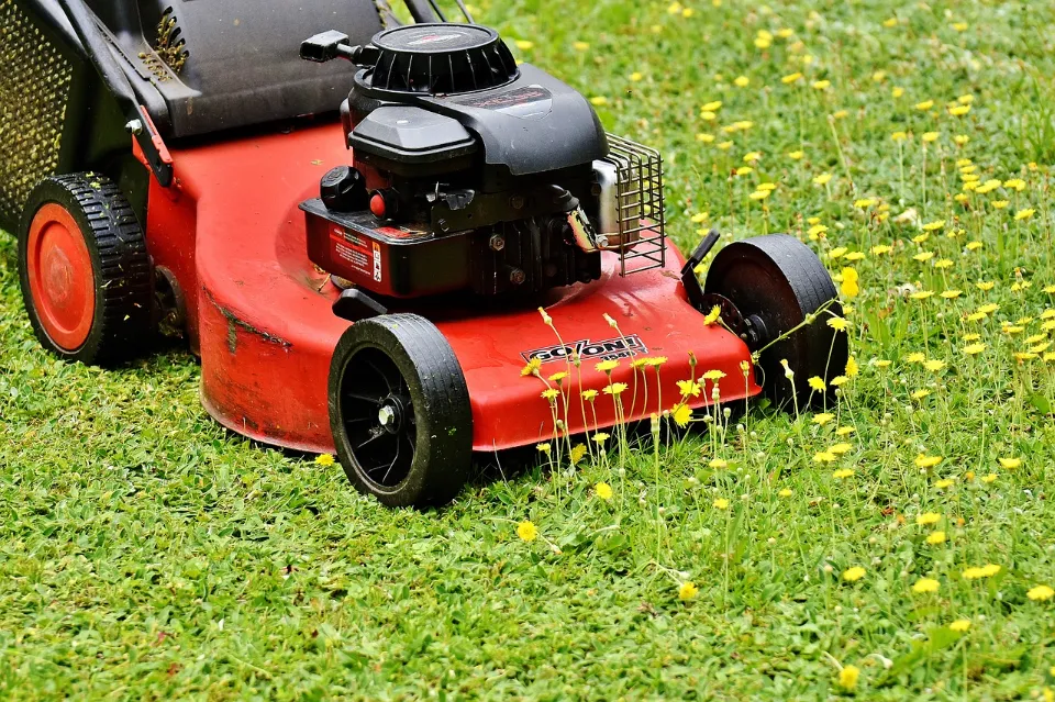 How Often Should You Mow Your Lawn - Tips & Suggestions