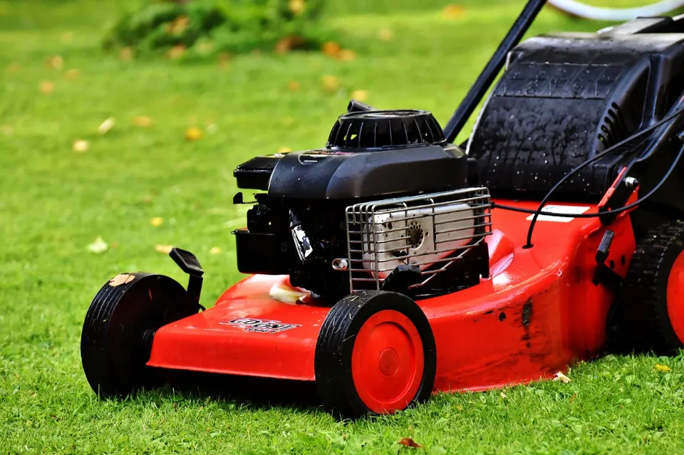 How Often Should You Mow Your Lawn - Tips & Suggestions