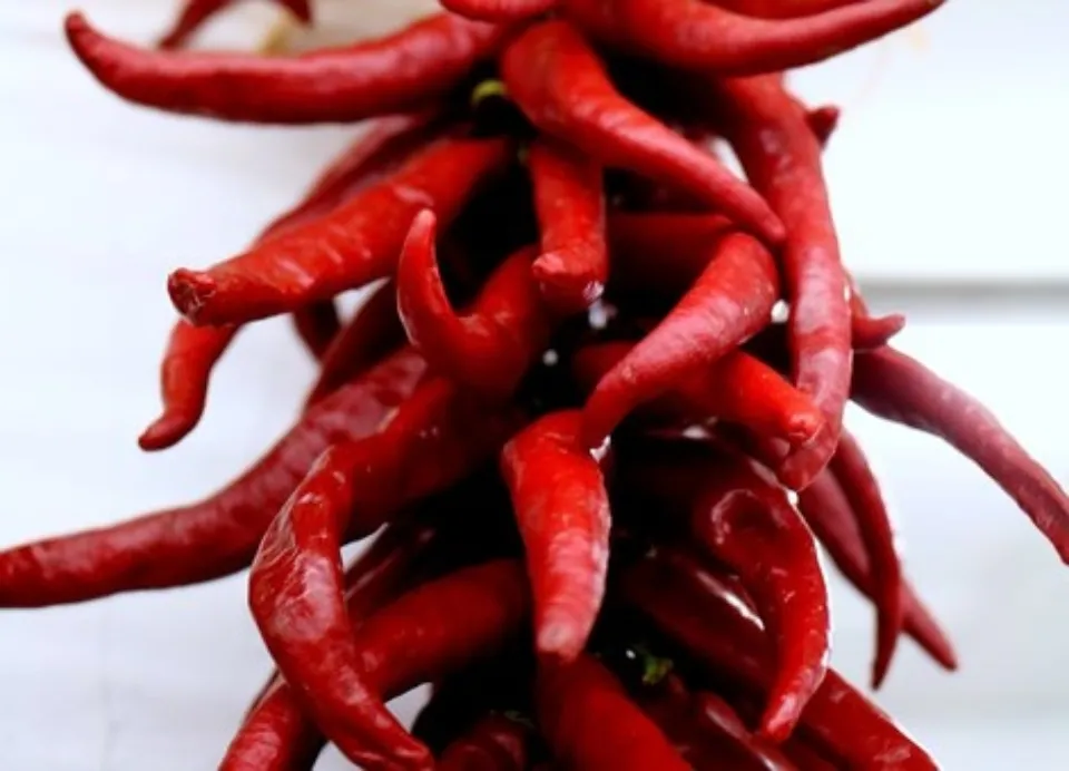 How To Dehydrate Peppers In An Air Fryer - Is It Really Work?