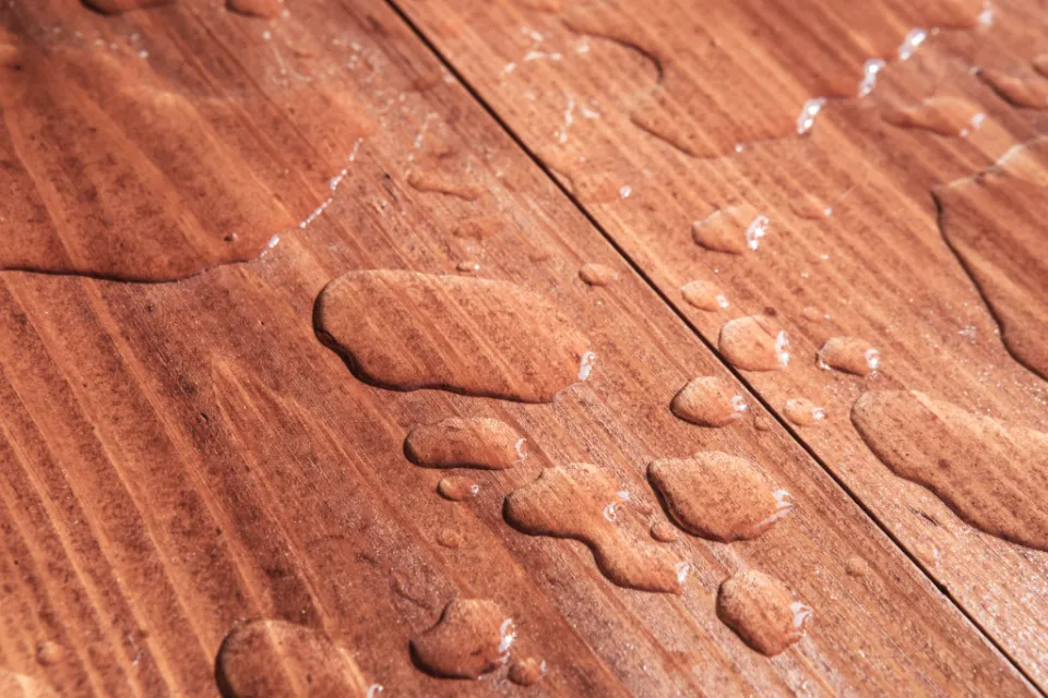 Waterproof vs. Water-Resistant Flooring - Which Should I Choose