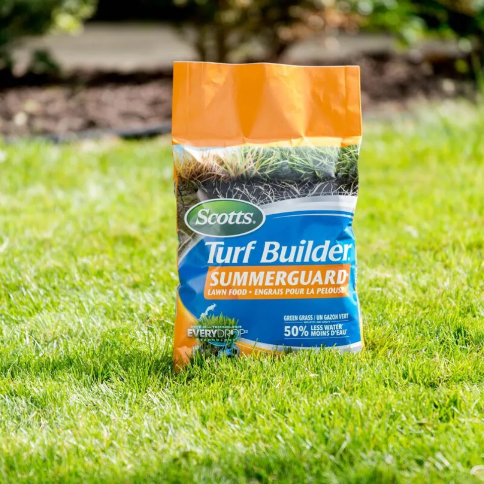 When to Water Lawn Grass After Using Scotts Turf Builder?