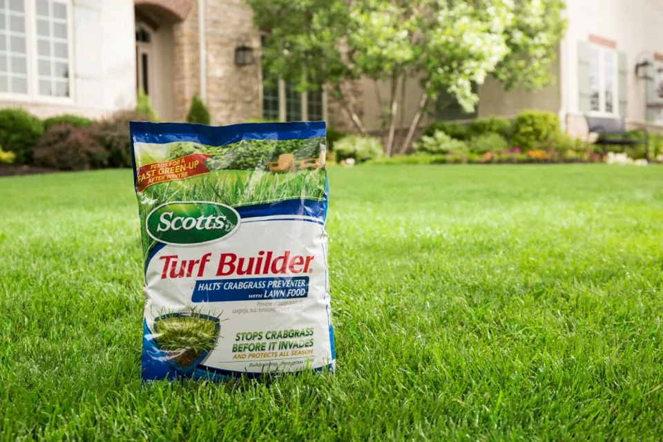 When to Water Lawn Grass After Using Scotts Turf Builder?